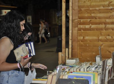 Valencia-De-Don-Juan-Feria-Del-Libro-Mercado-Hippie-20220715_53