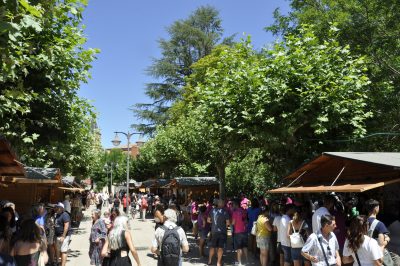 Valencia-De-Don-Juan-Feria-Del-Vino-20220730_15