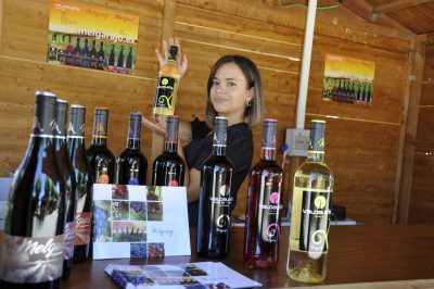 Valencia-De-Don-Juan-Feria-Del-Vino-Melgarejo-20220729