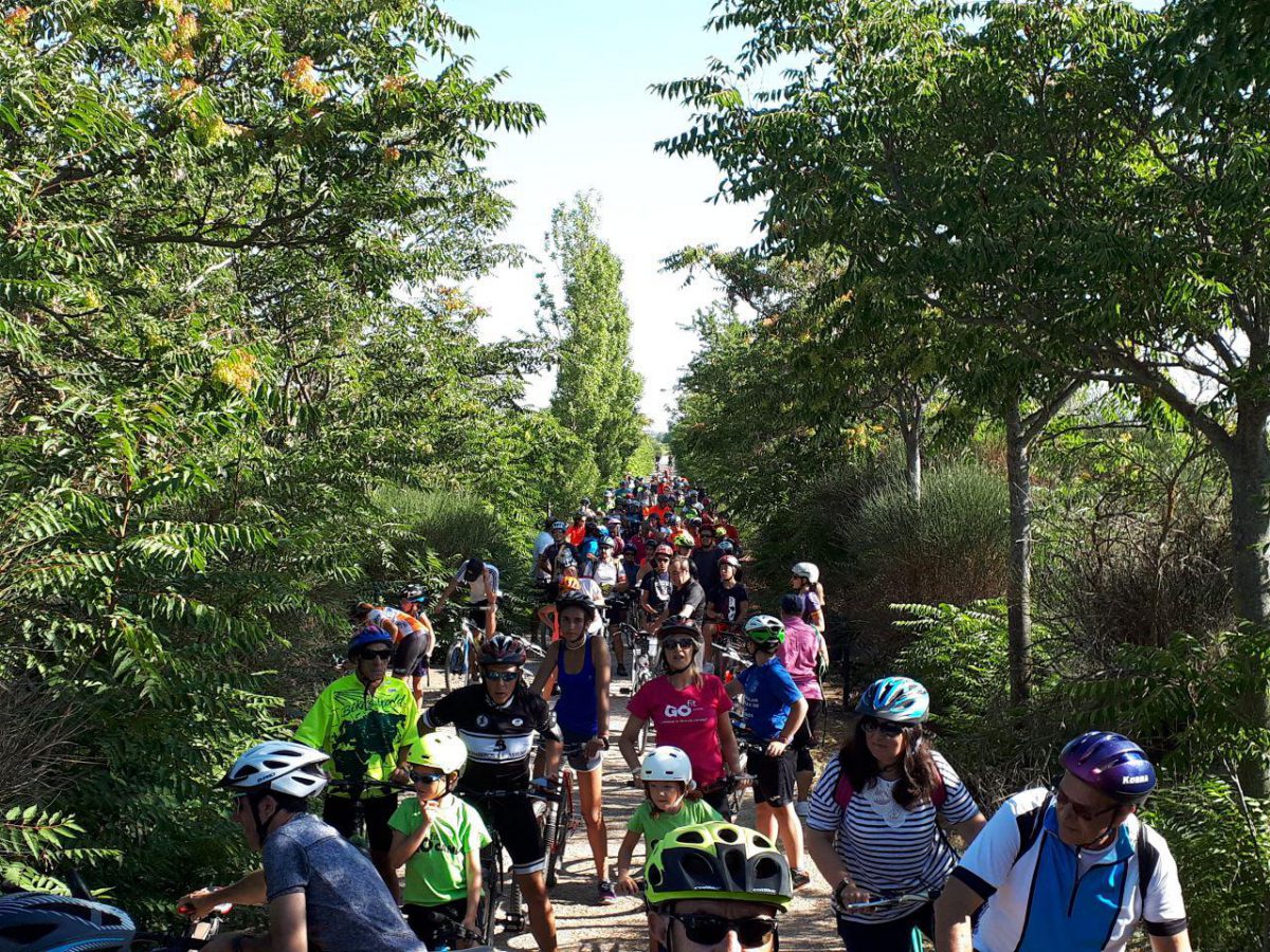 Marcha-Cicloturista-Vía-Verde-Valencia-de-Don-Juan-Villaornate-Y-Castro-2019-25