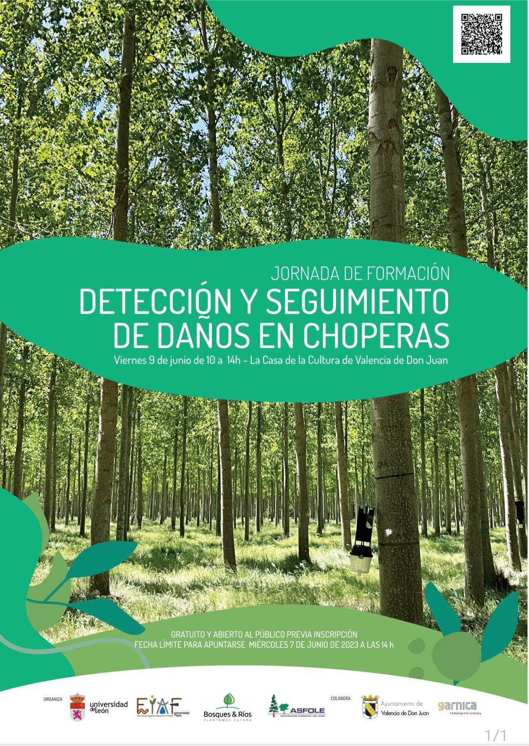 Jornada de Formación: Detección y Seguimiento de Daños en Choperas