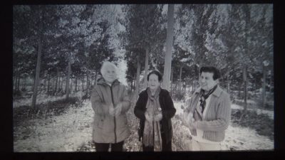 DSC01874